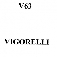 Manuale istruzioni Vigorelli V63 (VERSIONE DIGITALE)